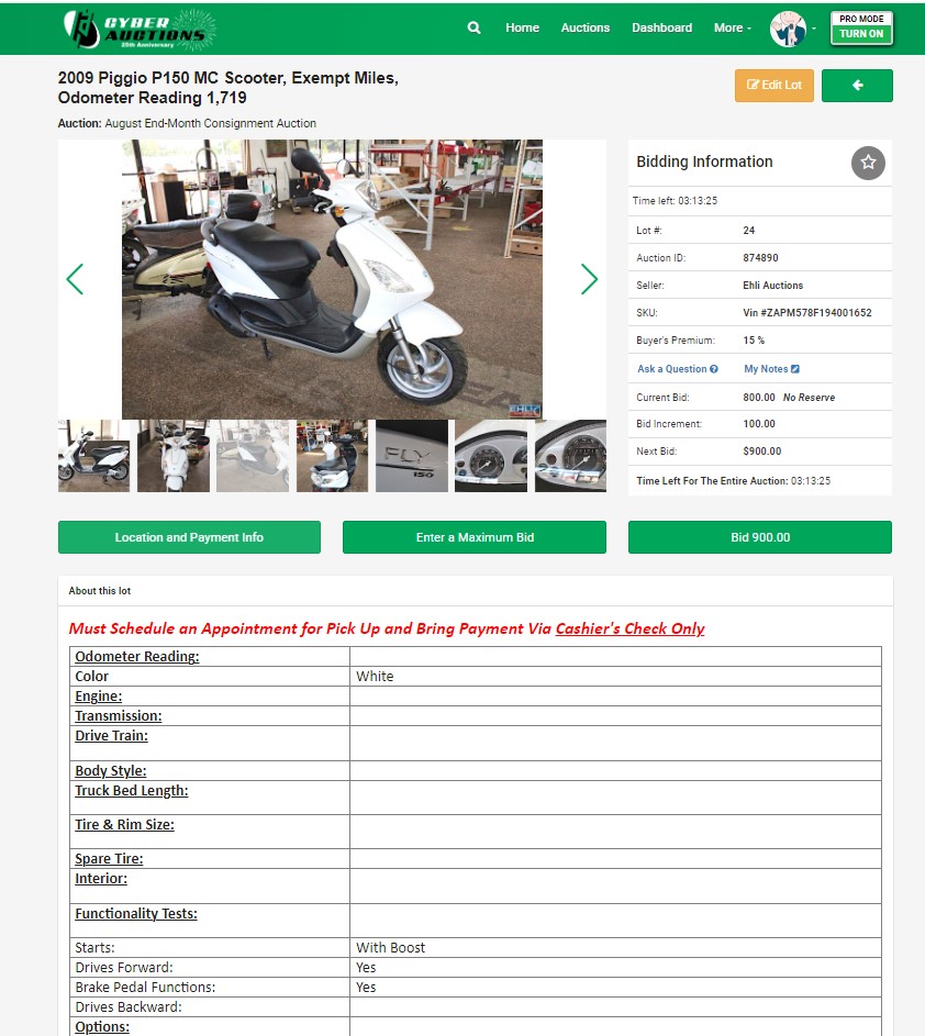CyberAuctions Lot Details Layout